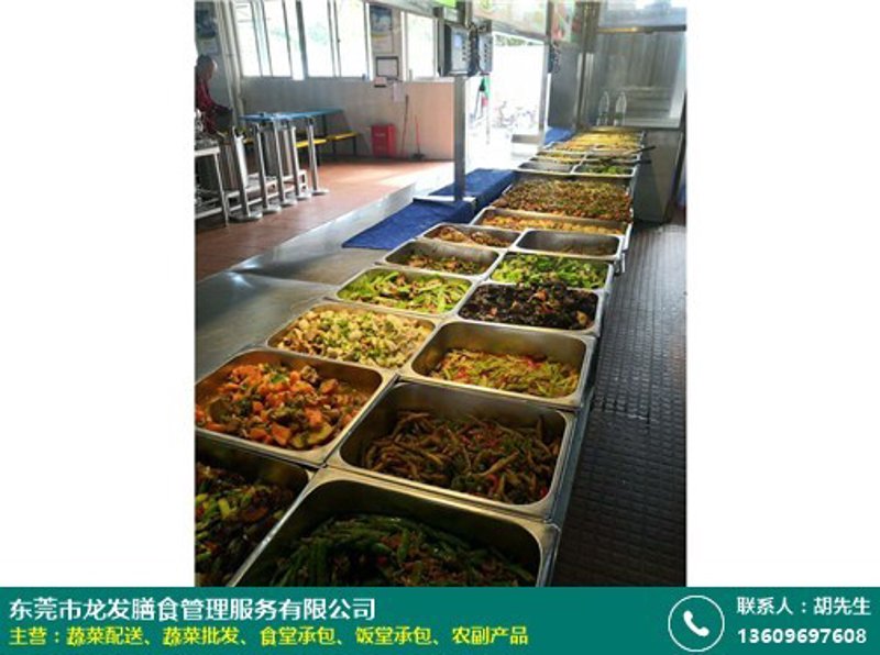 团餐服务标准及规范：如何做到专业与贴心